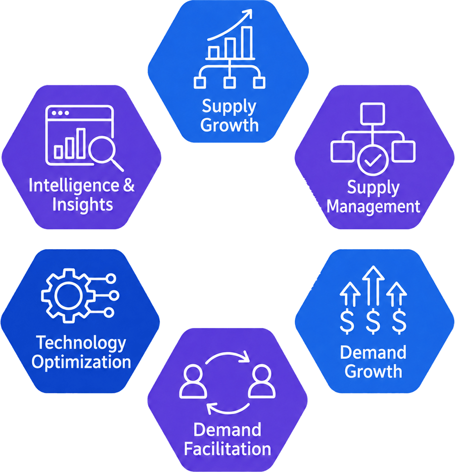 TVIQ Revenue Operations Workstreams diagram