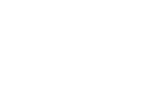 adtelligent-logo-white